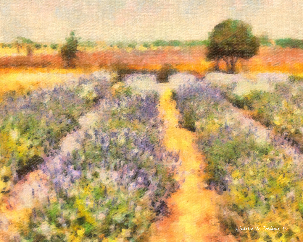 Detail of an impressionist lavender field landscape in violet and green under a hazy sky.